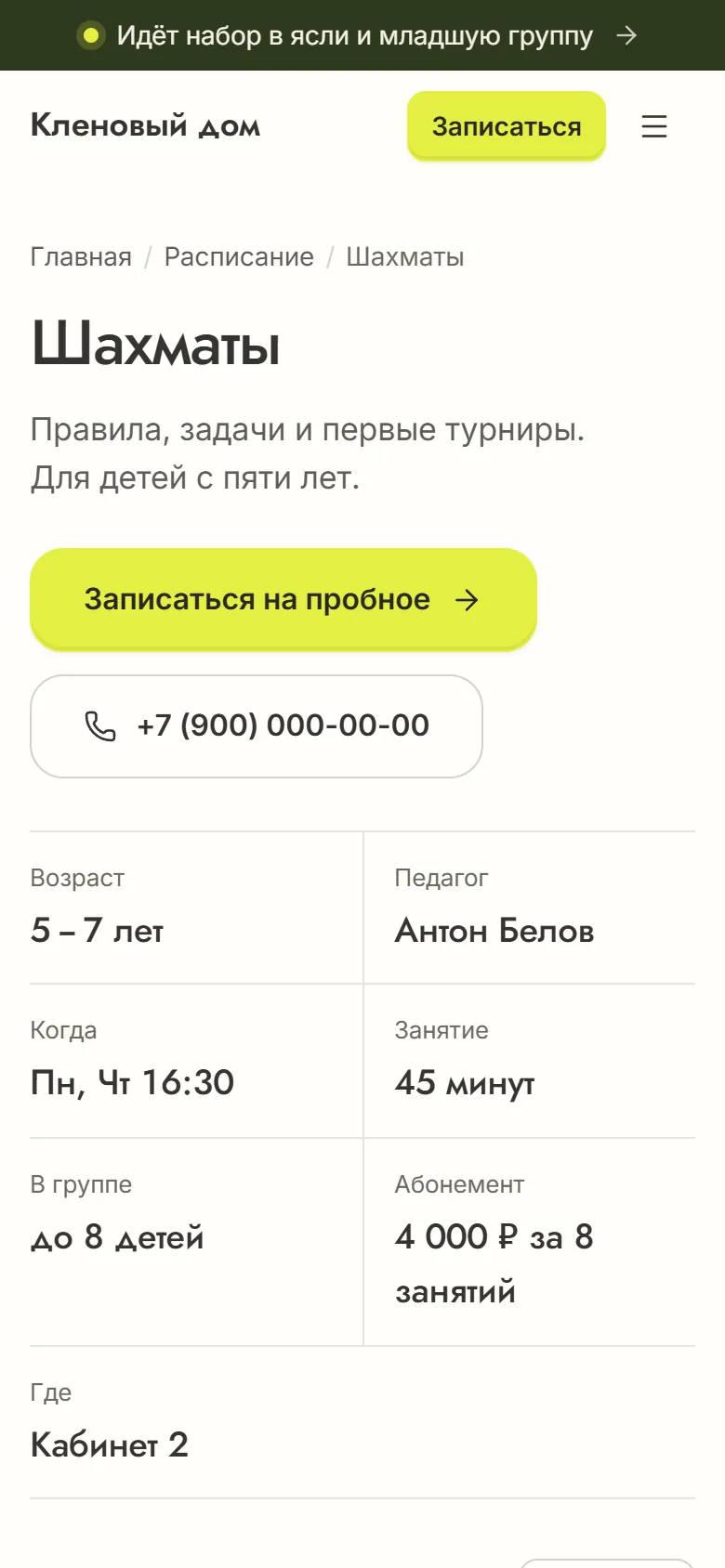 Страница направления «Шахматы» на телефоне: возраст, педагог, дни и время, цена абонемента и кнопка записи на пробное
